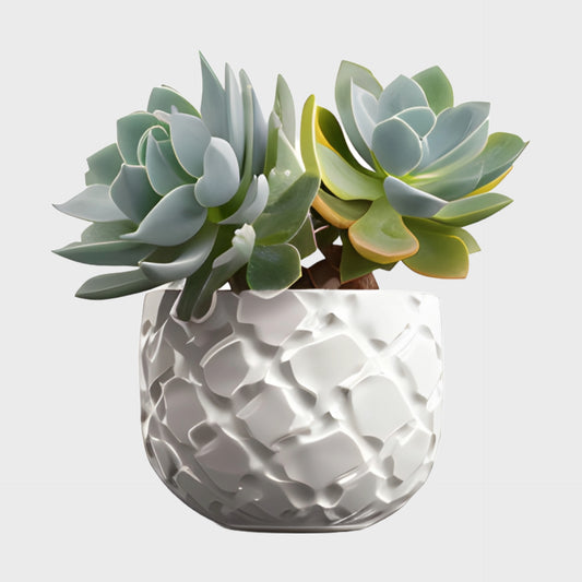 Ceramic Nordic Pot
